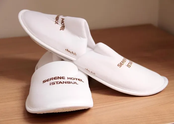 Hotel Serene Istanbulská provincie